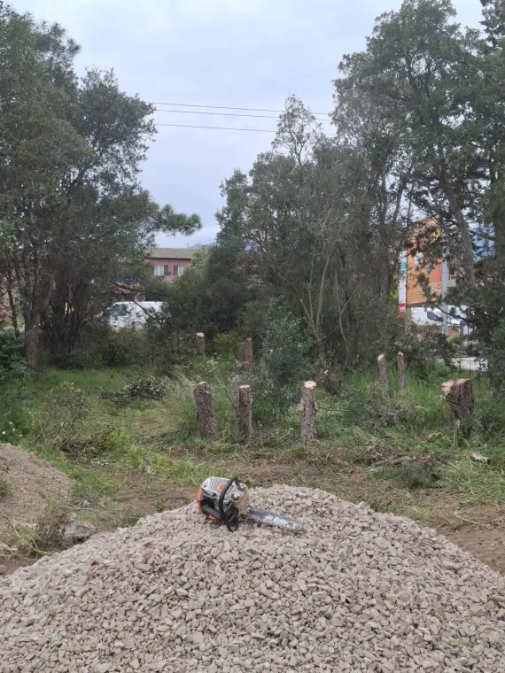 Abattage et dessouchage d'arbres pour création d'accès à Porto-Vecchio, Porto-Vecchio, Corse TPM
