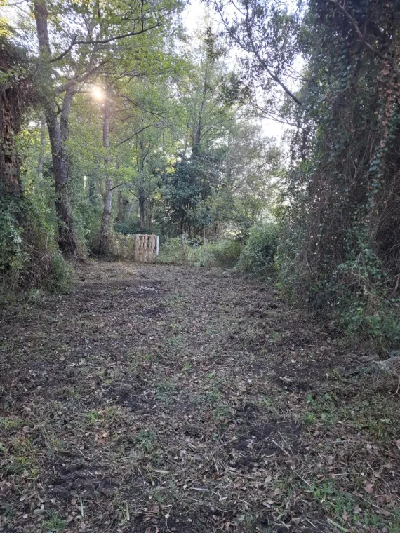 Démaquisage à Sainte Lucie de Porto-Vecchio par votre entreprise Corse TPM, Porto-Vecchio, Corse TPM