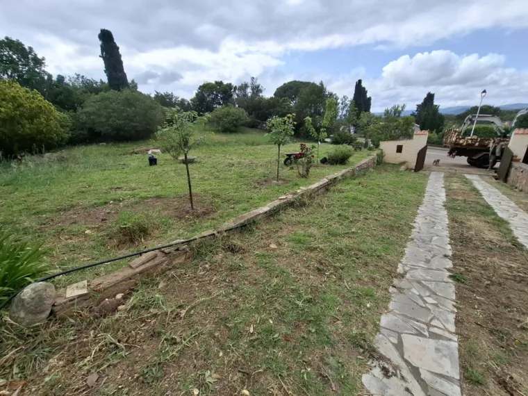Dessouchage d'une haie avec évacuation à Porto-Vecchio, Porto-Vecchio, Corse TPM