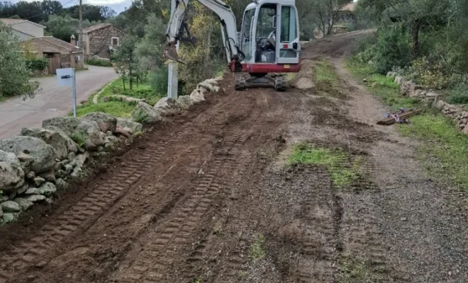 Avant la pose de clôture, Lecci