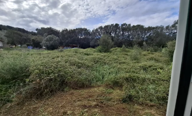 Terrain avant démaquisage à Porto-Vecchio