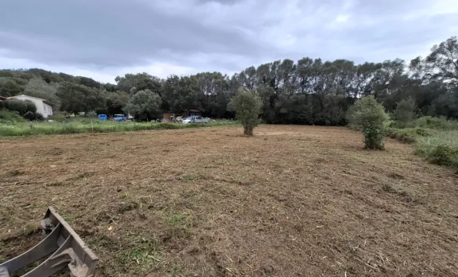 Terrain après démaquisage à Porto-Vecchio