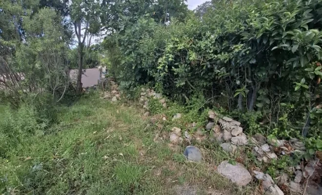 Démolition et évacuation, Porto-Vecchio, Corse TPM
