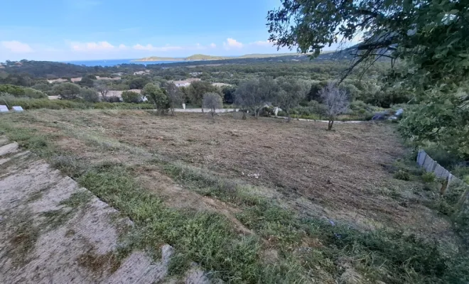 Démaquisage à Pinarello