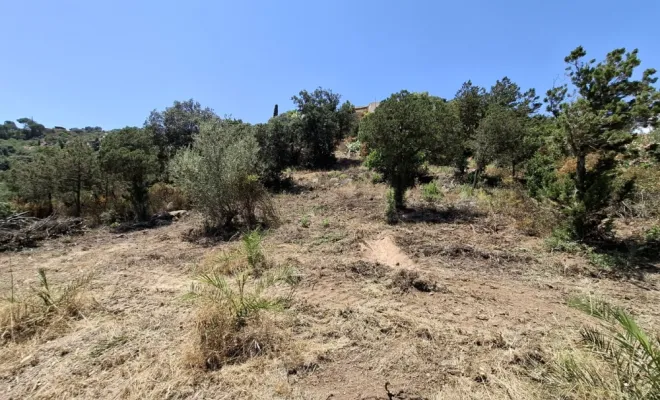 Terrassement pour pose de fosse septique à Palombaggia