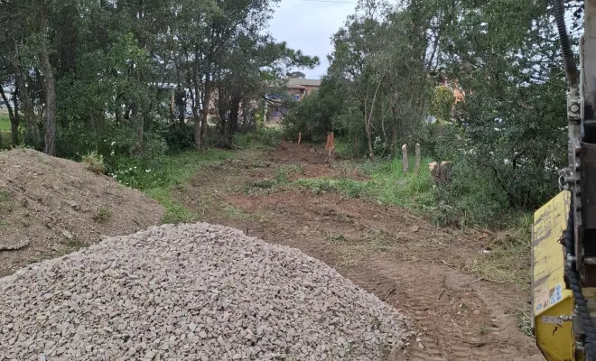 Abattage et dessouchage d'arbres pour création d'accès à Porto-Vecchio, Porto-Vecchio, Corse TPM