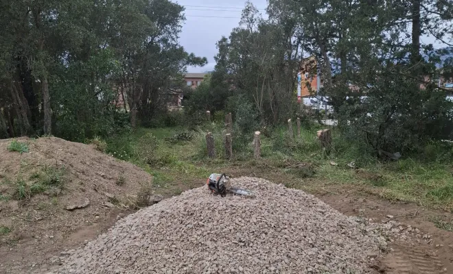Abattage et dessouchage d'arbres pour création d'accès à Porto-Vecchio, Porto-Vecchio, Corse TPM