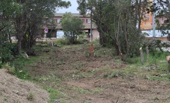 Abattage et dessouchage d'arbres pour création d'accès à Porto-Vecchio, Porto-Vecchio, Corse TPM