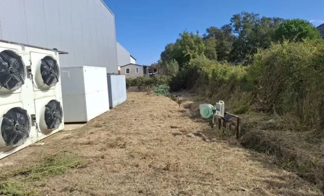 Démaquisage chez une professionnelle à Porto Vecchio