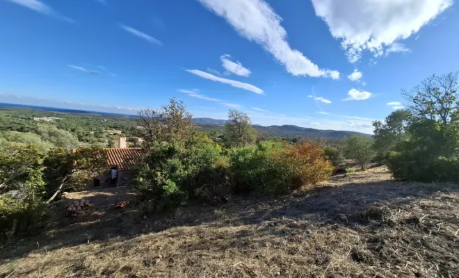 Entretien d'un pare feu à Lecci, abatage d'arbres secs, Porto-Vecchio, Corse TPM