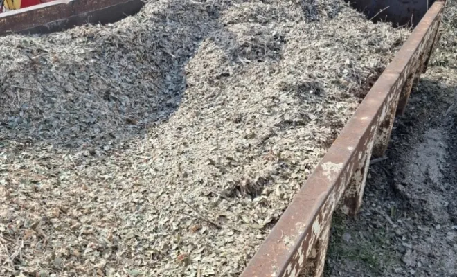 Nouvelle acquisition, meilleur rendement, le nouveau broyeur de branches de votre entreprise de démaquisage à Porto-Vecchio, Porto-Vecchio, Corse TPM