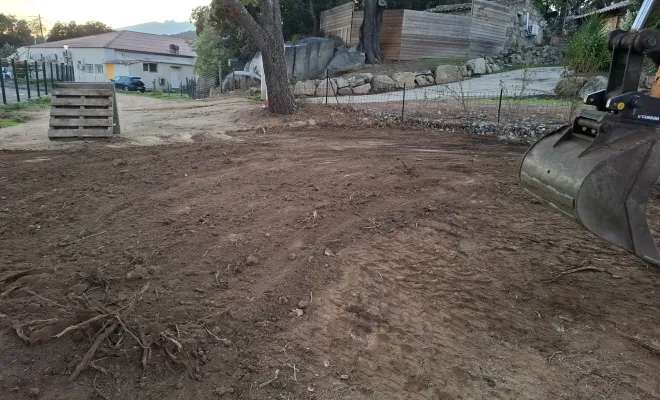 Dessouchage d'un pin chez un particulier à Porto-Vecchio, Porto-Vecchio, Corse TPM