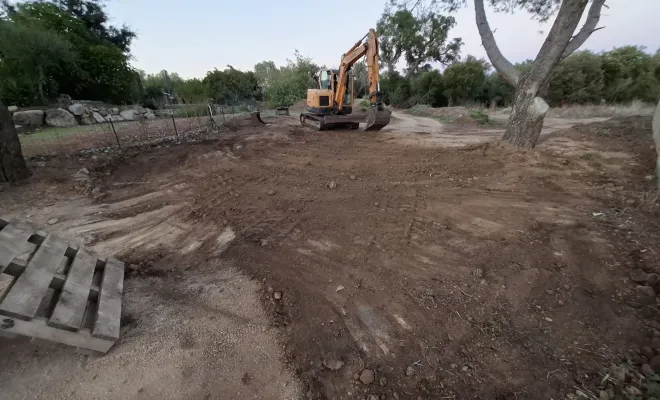 Dessouchage d'un pin chez un particulier à Porto-Vecchio, Porto-Vecchio, Corse TPM