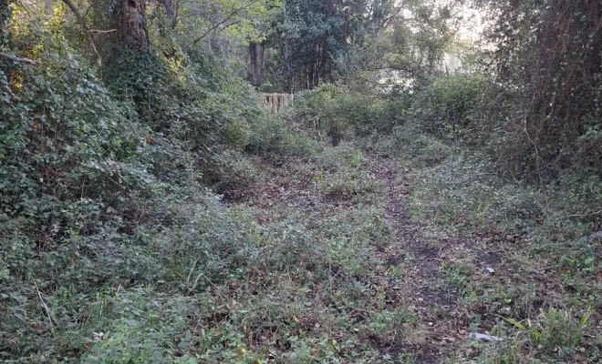 Démaquisage à Sainte Lucie de Porto-Vecchio par votre entreprise Corse TPM, Porto-Vecchio, Corse TPM