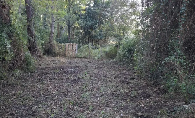 Démaquisage à Sainte Lucie de Porto-Vecchio par votre entreprise Corse TPM, Porto-Vecchio, Corse TPM