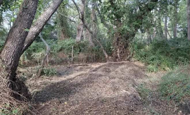 Démaquisage à Sainte Lucie de Porto-Vecchio par votre entreprise Corse TPM, Porto-Vecchio, Corse TPM