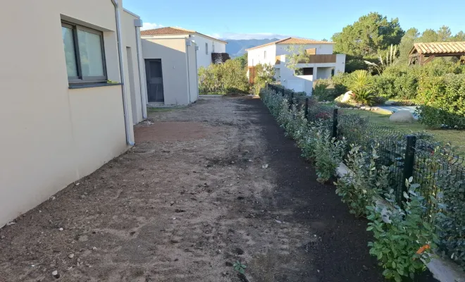 Plantations pour création d'une haie brise vue à Porto-Vecchio, Porto-Vecchio, Corse TPM