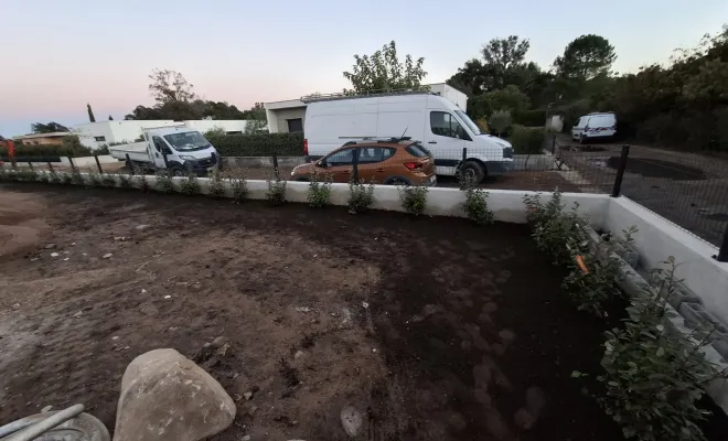 Plantations pour création d'une haie brise vue à Porto-Vecchio, Porto-Vecchio, Corse TPM