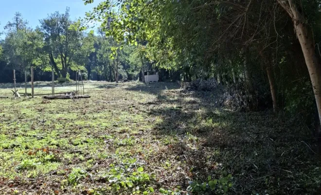 Nettoyage d'une carrière et création d'un andain à Lecci, Porto-Vecchio, Corse TPM