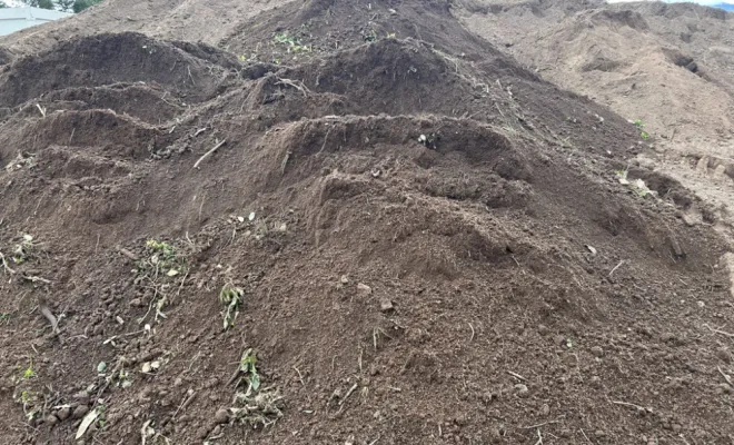 Terre végétale criblée, Porto-Vecchio, Corse TPM