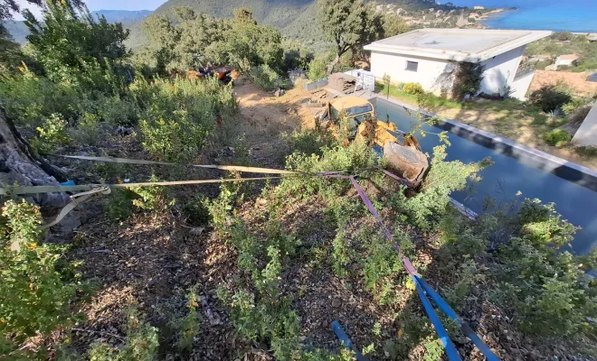 Dessouchage à Sari-Solenzara, Porto-Vecchio, Corse TPM