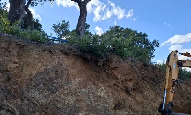 Dessouchage à Sari-Solenzara, Porto-Vecchio, Corse TPM