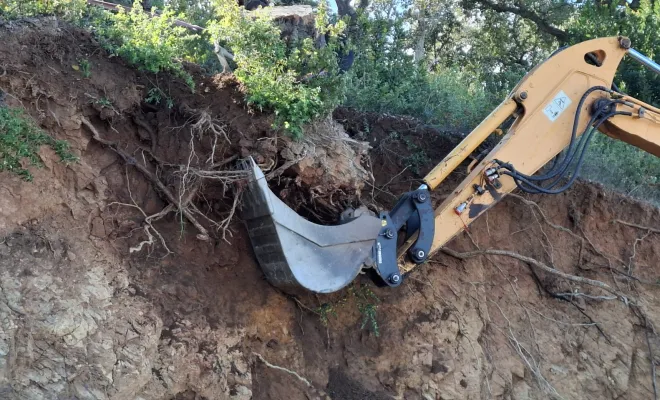 Dessouchage à Sari-Solenzara, Porto-Vecchio, Corse TPM