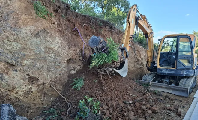 Dessouchage à Sari-Solenzara, Porto-Vecchio, Corse TPM