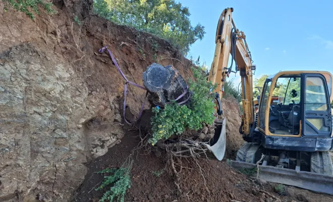 Dessouchage à Sari-Solenzara, Porto-Vecchio, Corse TPM