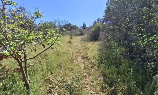 Démaquisage pour réouverture d'une piste à Palombaggia