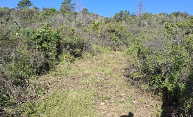Démaquisage pour réouverture d'une piste à Palombaggia