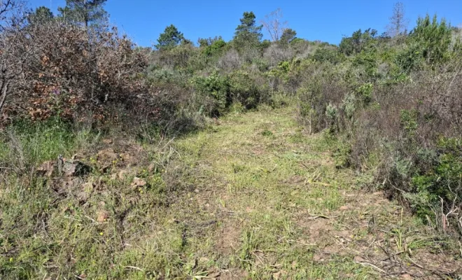 Démaquisage pour réouverture d'une piste à Palombaggia
