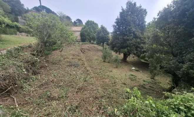 Démaquisage à l'Ospédale, Porto-Vecchio, Porto-Vecchio, Corse TPM