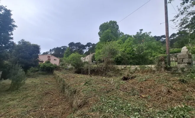 Démaquisage à l'Ospédale, Porto-Vecchio, Porto-Vecchio, Corse TPM