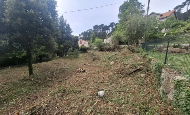 Démaquisage à l'Ospédale, Porto-Vecchio, Porto-Vecchio, Corse TPM