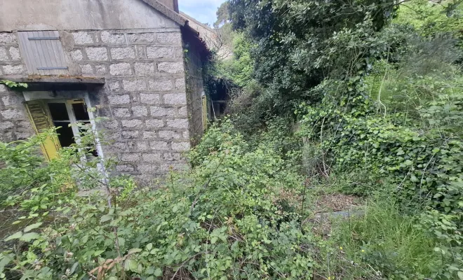 Démaquisage à l'Ospédale, Porto-Vecchio, Porto-Vecchio, Corse TPM
