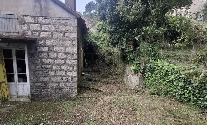 Démaquisage à l'Ospédale, Porto-Vecchio, Porto-Vecchio, Corse TPM