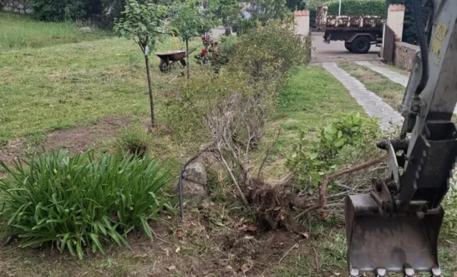 Dessouchage d'une haie avec évacuation à Porto-Vecchio, Porto-Vecchio, Corse TPM