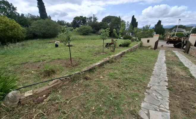 Dessouchage d'une haie avec évacuation à Porto-Vecchio, Porto-Vecchio, Corse TPM