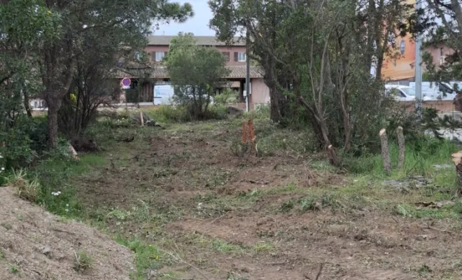 Abattage et Déssouchage, Porto-Vecchio, Corse TPM